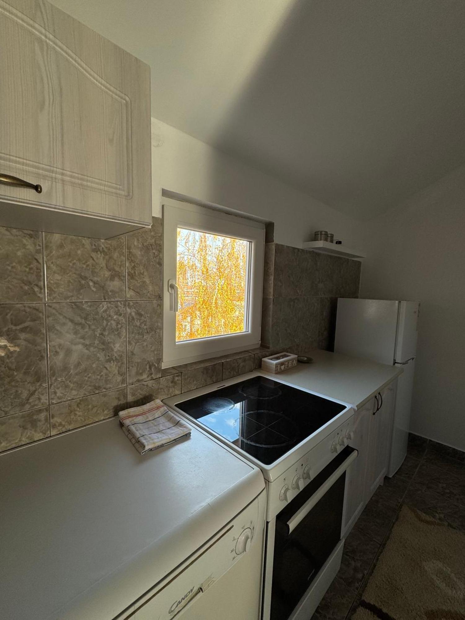 Apartmani Breze بودغوريتْسا المظهر الخارجي الصورة